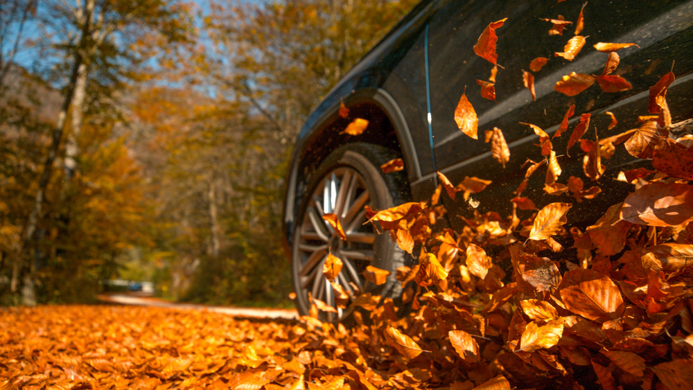 Fall Driving Safety Tips
