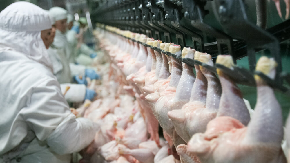 Cherry Hill Workers’ Compensation Lawyers Examine the Dangers Facing Meat and Poultry Workers