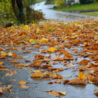 Camden personal injury lawyers represent victims of autumn fall hazards. 